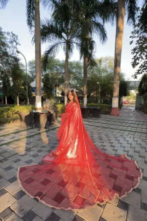 Luxury Red Bridal Veil for Bridal Entry